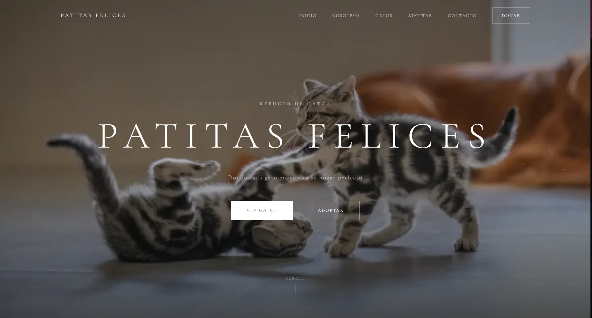 Sitio web de Patitas Felices — refugio de gatos