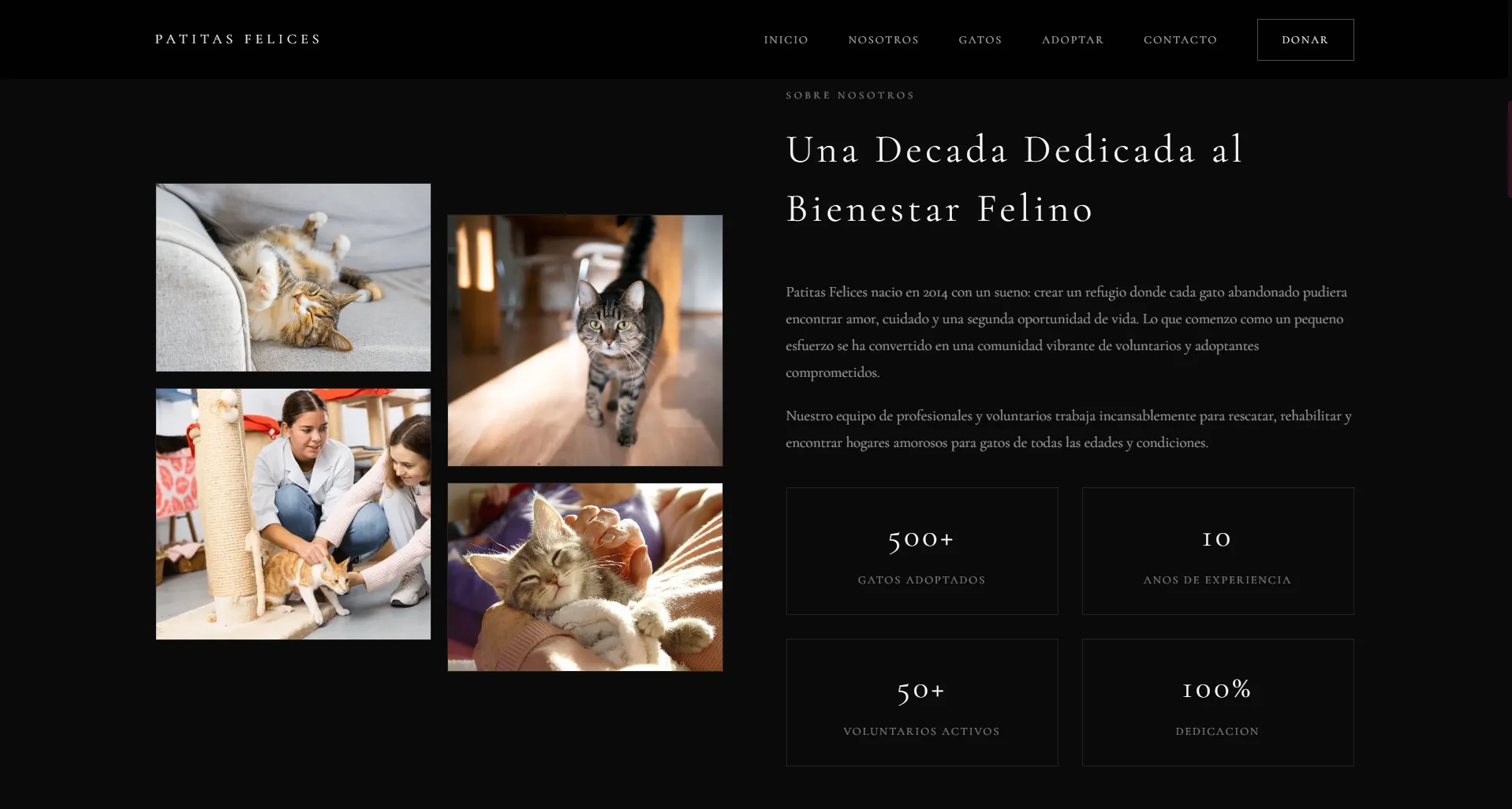 Página de impacto de Patitas Felices